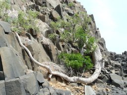 284520_10150265621864901_1035776_n